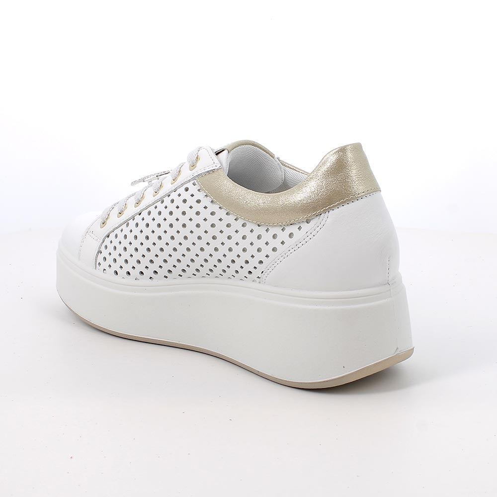 IGI&CO PATIKA 1146911